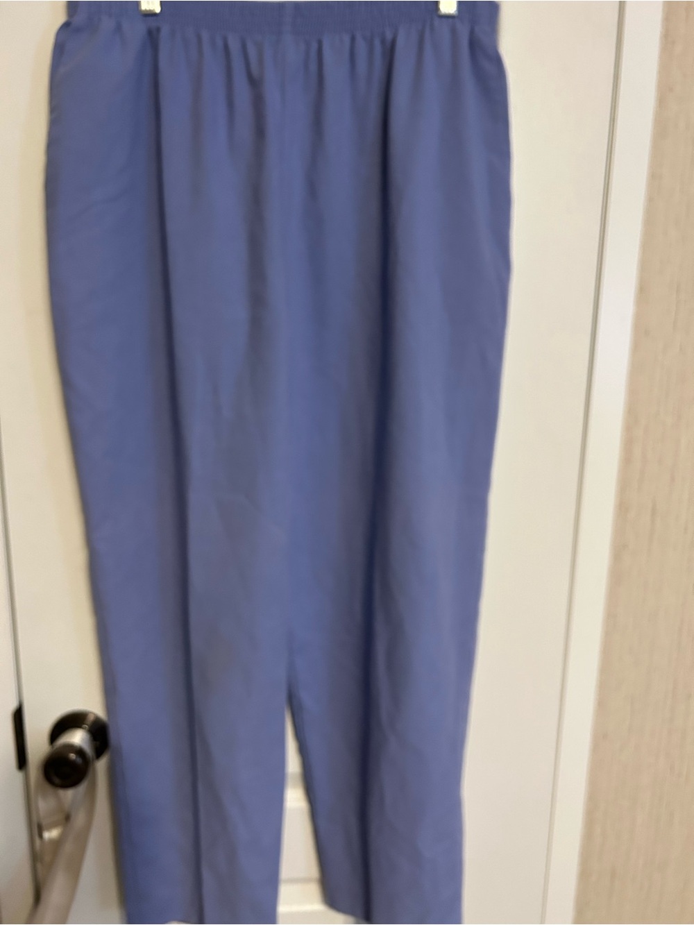 Alfred Dunner Blue Straight-Leg Trousers